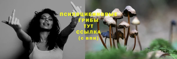 тгк Баксан