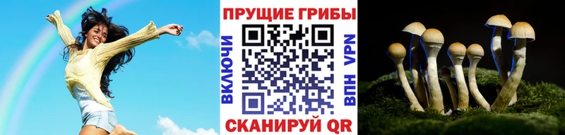 Псилоцибиновые грибы Psilocybine cubensis  Карабаш 